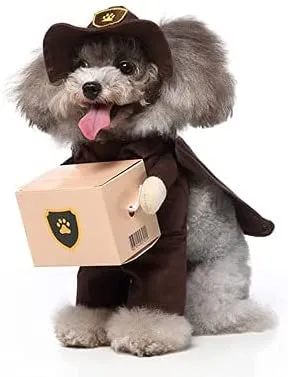 Costume per animali domestici, costume divertente per cane in piedi, costume da Halloween, costume da mudanze-marrone (S)